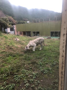 伊豆アニマルキングダムに投稿された画像（2024/11/16）