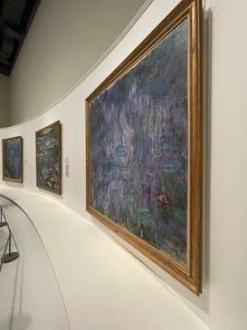 モネ 睡蓮のとき（国立西洋美術館）に投稿された画像（2024/11/16）