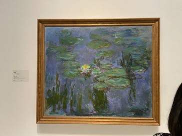 モネ 睡蓮のとき（国立西洋美術館）に投稿された画像（2024/11/16）