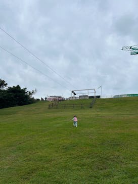 マザー牧場に投稿された画像（2024/11/16）