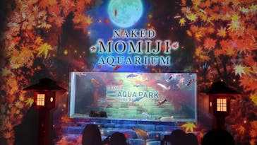 マクセル アクアパーク品川に投稿された画像（2024/11/16）