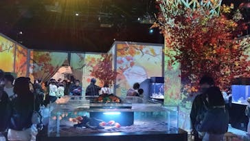 マクセル アクアパーク品川に投稿された画像（2024/11/16）