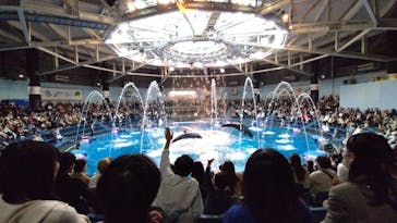 マクセル アクアパーク品川に投稿された画像（2024/11/16）