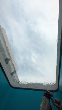 金沢21世紀美術館に投稿された画像（2024/11/16）