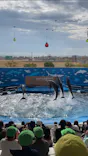 仙台うみの杜水族館に投稿された画像（2024/11/16）