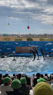 仙台うみの杜水族館に投稿された画像（2024/11/16）