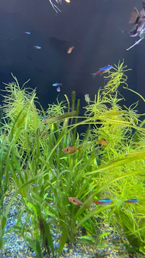 仙台うみの杜水族館に投稿された画像（2024/11/16）