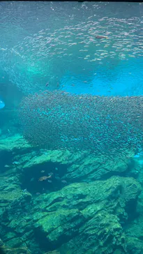 仙台うみの杜水族館に投稿された画像（2024/11/16）