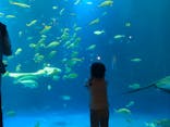 四国水族館に投稿された画像（2024/11/16）