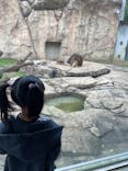 千葉市動物公園に投稿された画像（2024/11/16）