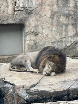 千葉市動物公園に投稿された画像（2024/11/16）