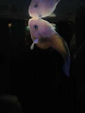 環境水族館アクアマリンふくしまに投稿された画像（2024/11/16）