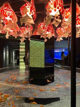 すみだ水族館に投稿された画像（2024/11/16）