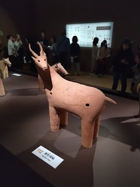 挂甲の武人 国宝指定50周年記念 特別展「はにわ」@東京国立博物館 平成館に投稿された画像（2024/11/16）