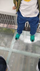 OSAKAWHEEL（オオサカホイール）に投稿された画像（2024/11/16）