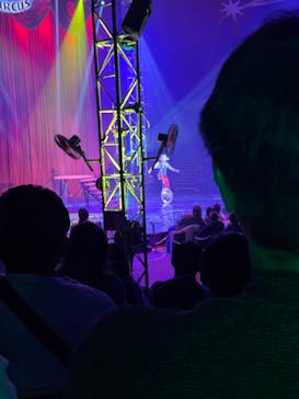 ハッピードリームサーカス湘南・平塚公演に投稿された画像（2024/11/16）