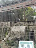 恩賜上野動物園に投稿された画像（2024/11/16）