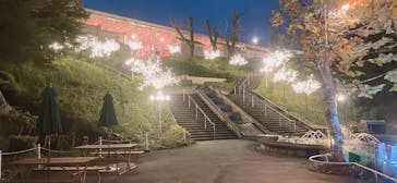 西武園ゆうえんちに投稿された画像（2024/11/16）