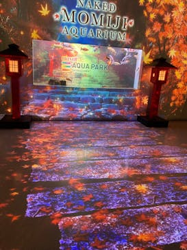 マクセル アクアパーク品川に投稿された画像（2024/11/16）