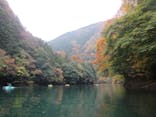 コンセプトに投稿された画像（2024/11/16）
