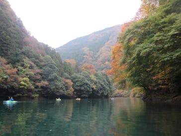 コンセプトに投稿された画像（2024/11/16）