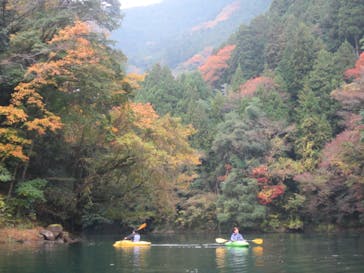 コンセプトに投稿された画像（2024/11/16）