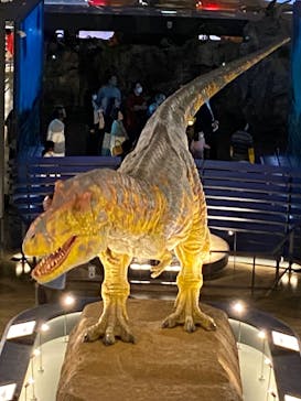 福井県立恐竜博物館に投稿された画像（2024/11/16）