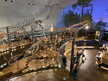 福井県立恐竜博物館に投稿された画像（2024/11/16）