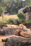 天王寺動物園に投稿された画像（2024/11/16）