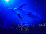 サンシャイン水族館に投稿された画像（2024/11/16）