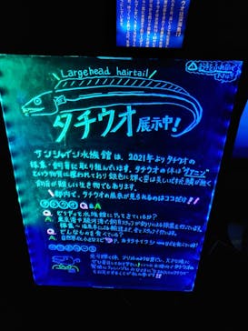 サンシャイン水族館に投稿された画像（2024/11/16）