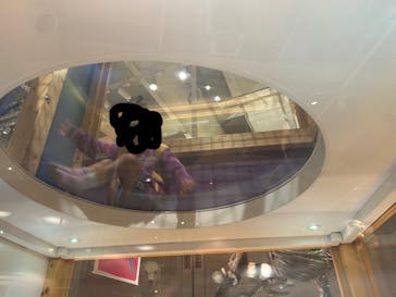 国立科学博物館に投稿された画像（2024/11/16）