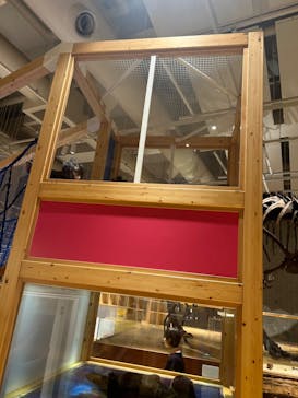 国立科学博物館に投稿された画像（2024/11/16）