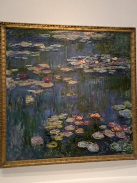 モネ 睡蓮のとき（国立西洋美術館）に投稿された画像（2024/11/16）