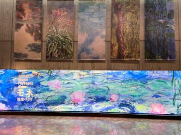 モネ 睡蓮のとき（国立西洋美術館）に投稿された画像（2024/11/16）