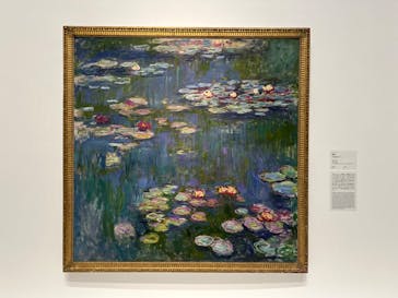 モネ 睡蓮のとき（国立西洋美術館）に投稿された画像（2024/11/16）