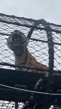 名古屋市東山動植物園に投稿された画像（2024/11/16）