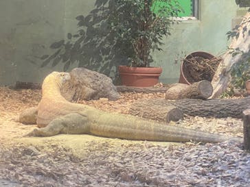 名古屋市東山動植物園に投稿された画像（2024/11/16）