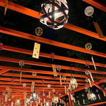 国営昭和記念公園 秋の夜散歩に投稿された画像（2024/11/16）