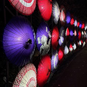 国営昭和記念公園 秋の夜散歩に投稿された画像（2024/11/16）