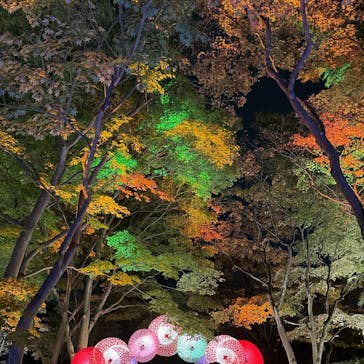 国営昭和記念公園 秋の夜散歩に投稿された画像（2024/11/16）