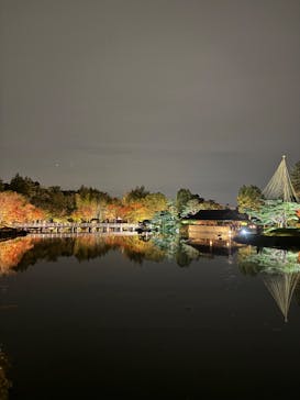 国営昭和記念公園 秋の夜散歩に投稿された画像（2024/11/16）