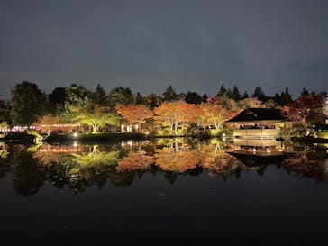 国営昭和記念公園 秋の夜散歩に投稿された画像（2024/11/16）