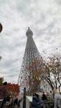 東京スカイツリーに投稿された画像（2024/11/16）