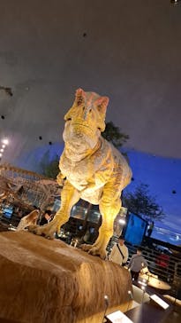 福井県立恐竜博物館に投稿された画像（2024/11/16）