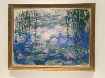モネ 睡蓮のとき（国立西洋美術館）に投稿された画像（2024/11/16）