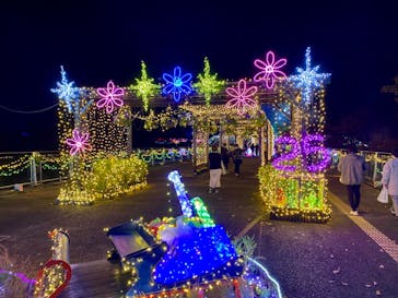 とっとり花回廊に投稿された画像（2024/11/16）