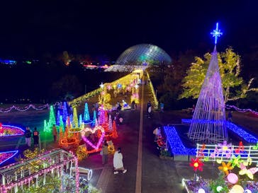 とっとり花回廊に投稿された画像（2024/11/16）