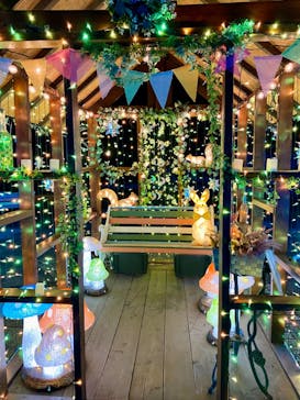 とっとり花回廊に投稿された画像（2024/11/16）