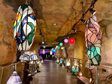 とっとり花回廊に投稿された画像（2024/11/16）